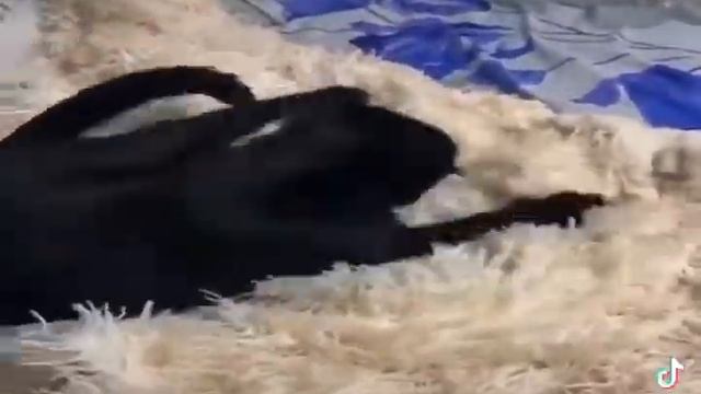 Файл Dead.exe смотреть онлайн