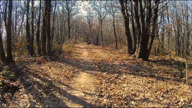Italy MegaWalk - Di Pietre, di Fiori, e di Antichi Sentieri.. смотреть онлайн