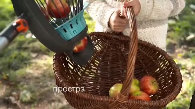 Плодосборник для орехов комбисистема Gardena смотреть онлайн