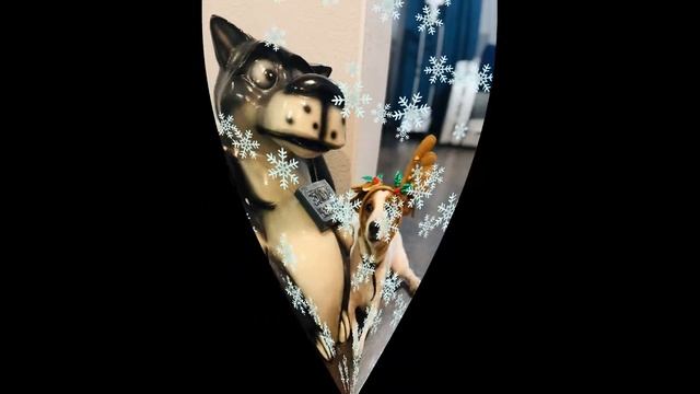 Новогоднее поздравление от родителей смотреть онлайн