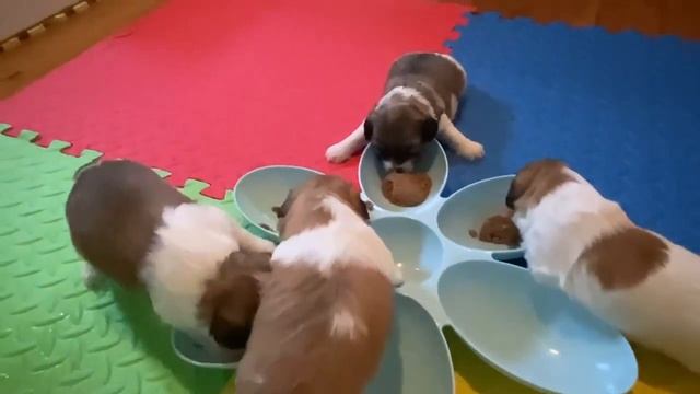 We Love to Eat! смотреть онлайн