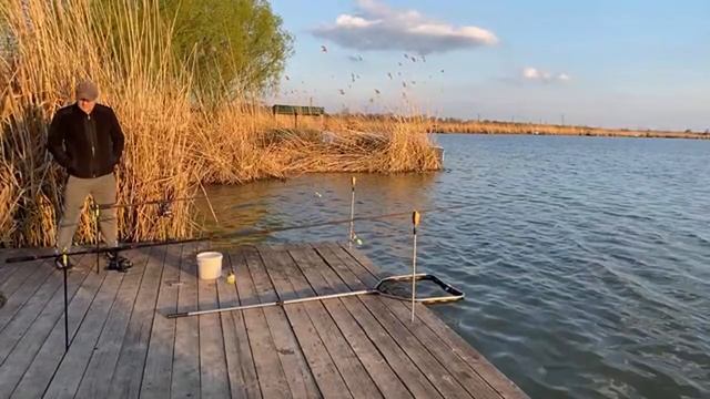 Рыбалка на платном водоёме.Карп,Сазан. смотреть онлайн