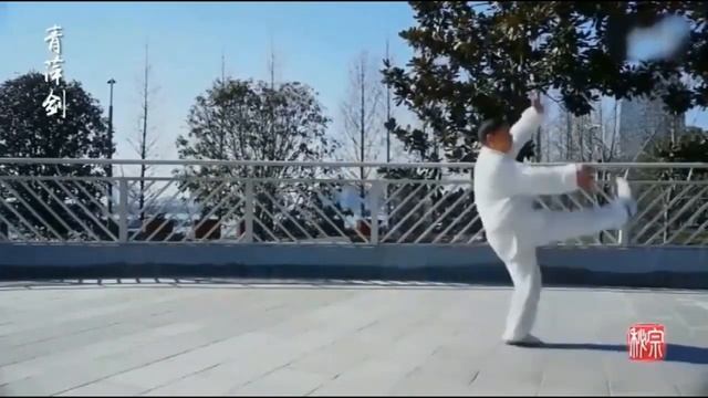 Лу ши цинпин цзянь (卢氏青萍剑) или 