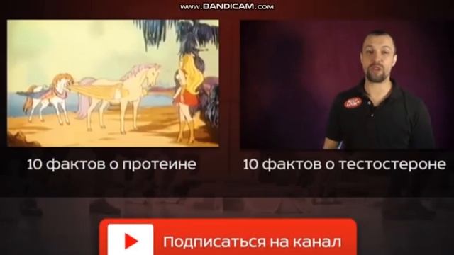 10 класс Сахароза жана анын касиеттери-уландысы смотреть онлайн