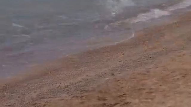 Золотой родник описание смотреть онлайн