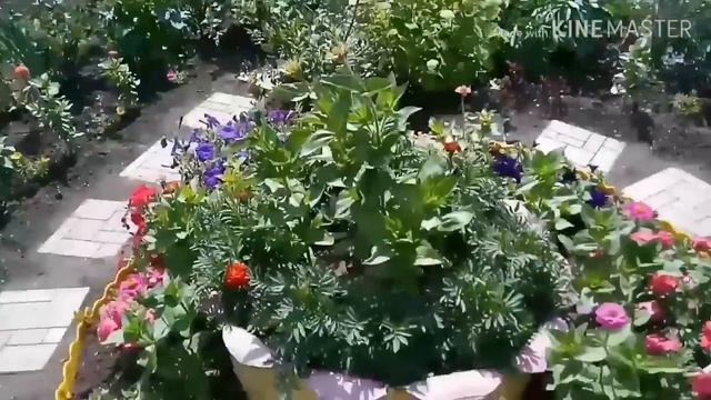 Как сделать и оформить клумбу своими руками. смотреть онлайн