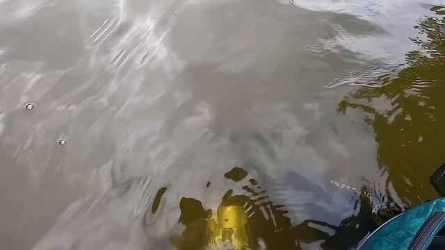 GOLD,SILVER, AND RINGS FOUND IN A LAKE WITH NOKTA MAKRO ANFIBIO METAL DETECTOR - METAALDETECTOR смотреть онлайн