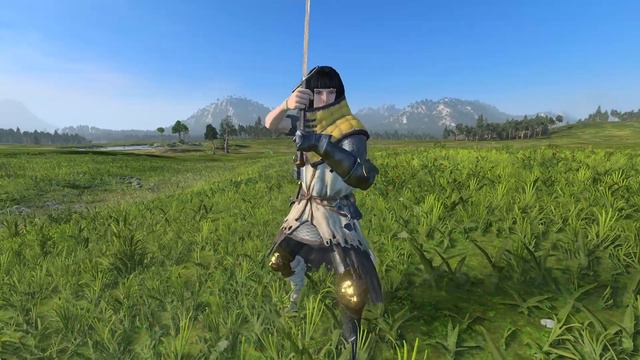 Next 5 Graphical Mods for Legendary Lords. Total War Warhammer 3 смотреть онлайн