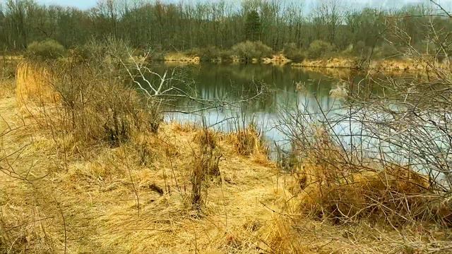 Sonnet 60 Project смотреть онлайн