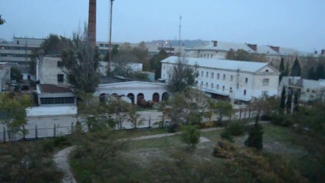 Военные у МГУ отлавливали собак смотреть онлайн