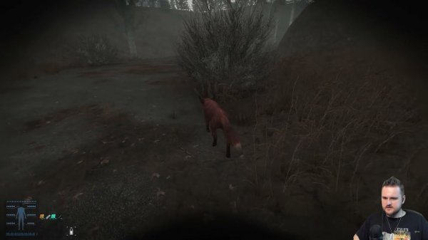 лиса делает что то полезное