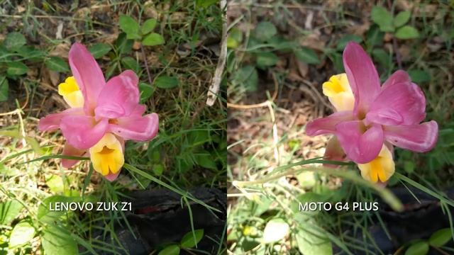 Lenovo ZUK Z1 vs Moto G4 Plus- Camera Comparison смотреть онлайн