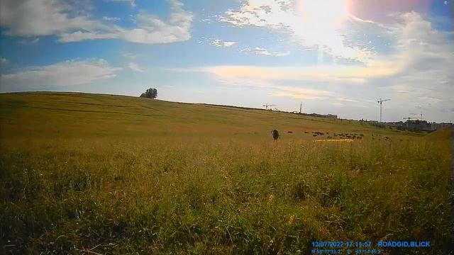 Наземка, Нижний Новгород, Новинки 2022 июль смотреть онлайн