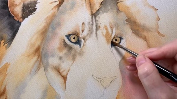 Watercolour Lion // Watercolor Techniques Explained
