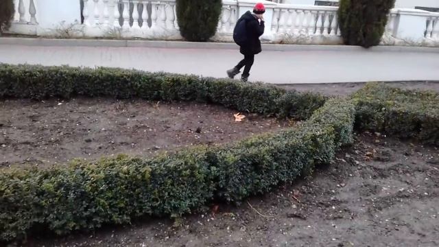 новогодний Севастополь днем смотреть онлайн