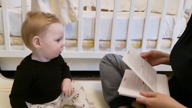 Обзор на вундеркинд с пеленок мега чемодан Карточки Домана. Методика работы с карточками