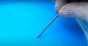 Как приготовить бордоскую жидкость 3%