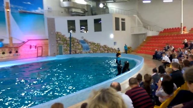Влог#2 Дельфинарий, дельфины, Свинка Пеппа,Dolphins,Peppa Pig смотреть онлайн