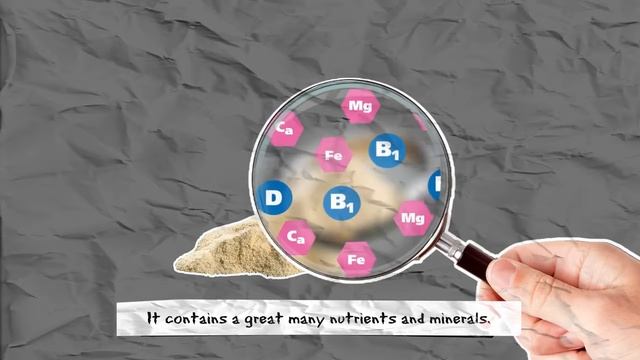 BELCANDO - про корма grain free смотреть онлайн