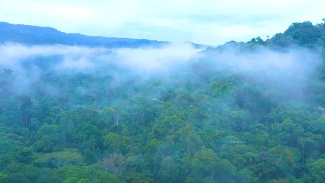 Yспокаивающая музыка для нервов ? лечебная музыка для сердца и сосудов, релакс, музыка для души #11 смотреть онлайн