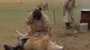 Монгол забивает барана