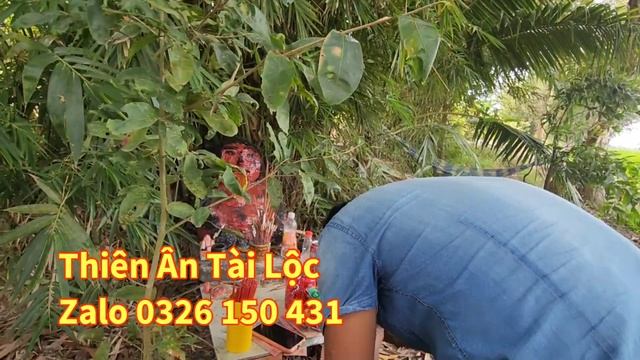 Xin Lộc MT.MB 7/2 Miếu Ông Tà Đỏ Linh Thiêng Zalo 0326 150 431 #phimngắn смотреть онлайн