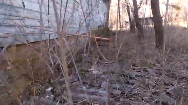 0423, город Орёл, Салтыкова-Щедрина, памятник Фету, орловский дом литераторов, галерея Курнакова смотреть онлайн