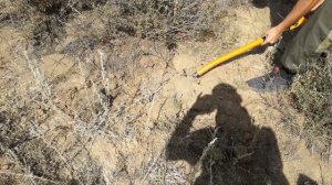 Металлоискатель GPZ 7000 поиск золота