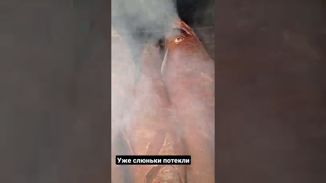 готовим судаков смотреть онлайн