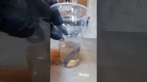 Растворение цинка в ортофосфорной кислоте, бурная реакция.