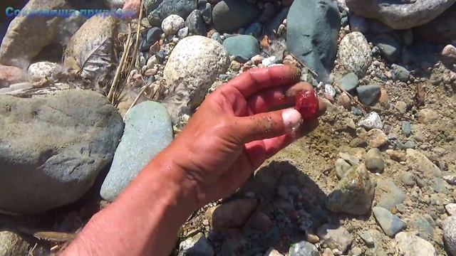 На белых камнях хорошо видно черные вкрапления смотреть онлайн