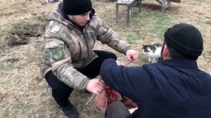 БАРАН В ЗЕМЛЕ, МЯСО БАРАНА ЗАПЕЧЁННОЕ В ЯМЕ ПО-ДАГЕСТАНСКИ