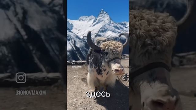 Русская Швейцария! Одни из самых красивых гор что я видел смотреть онлайн