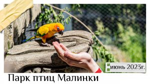 Парк Птиц Малинки. Ростовская область. Июнь 2023