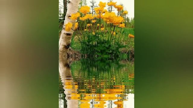 ТАЙНЫЕ УЧЕНИКИ ХРИСТА.. смотреть онлайн