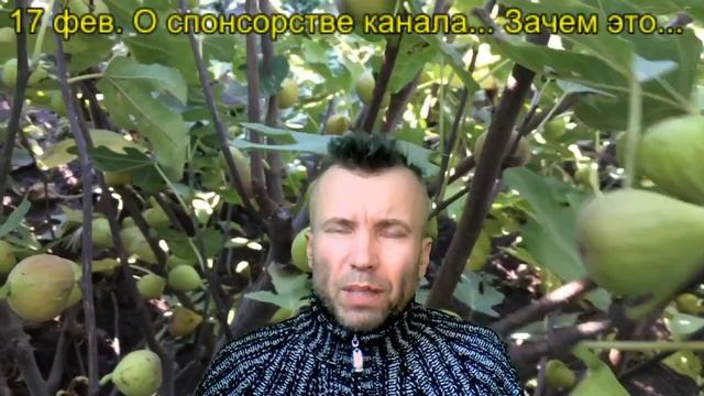 Спонсорство канала. Трейлер / тизер. Саженцы инжира. Хранение инжира, транспортировка, реализация. смотреть онлайн