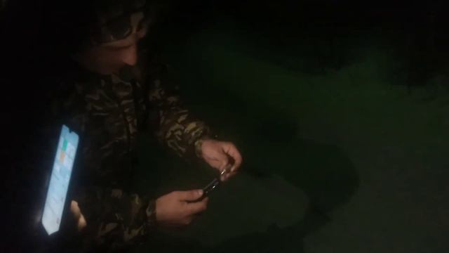 сигнал охотника. смотреть онлайн