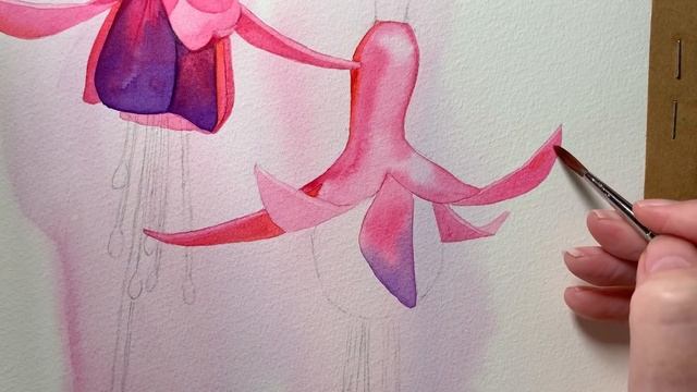 Watercolor Fuchsia // Transferring the Drawing and other Watercolor Techniques Explained смотреть онлайн