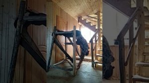 Тренажёр Кардополова (Соболева)