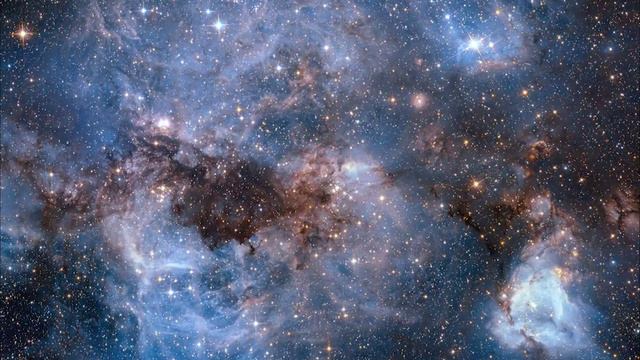 Z3BRE- MAGELLAN смотреть онлайн