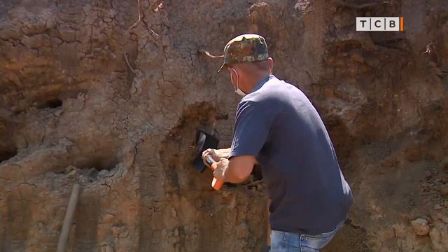 Кому принадлежат останки, найденные на территории РКБ смотреть онлайн