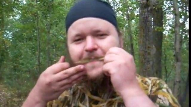 Форум Города N. Встреча №5: всяко 2 смотреть онлайн