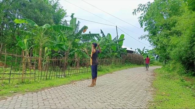 Tui tui funny 😭| tui tui comedy video2022 😭 funny videos comedy смотреть онлайн
