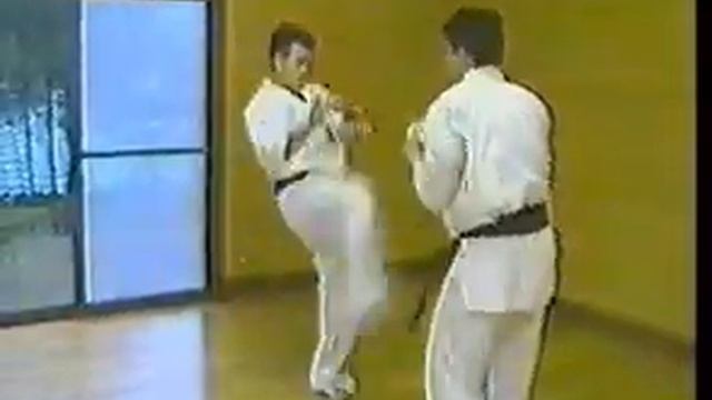 Kyokushin Karate Midori Kenji JAP смотреть онлайн