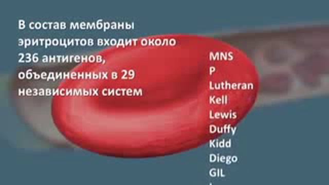 Методы определения групп крови ВГМА им Бурденко смотреть онлайн