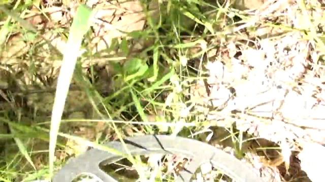 №8 Первая монета,первые грибы смотреть онлайн