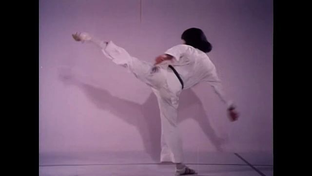 Hwang Jang Lee   The Art Of High Impact Kicking   Русский перевод