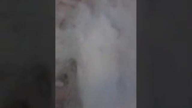 Вызвали слендера. (Получилось) смотреть онлайн