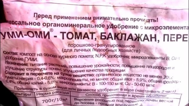 Любой сорт можно вырастить в ведре и как я это делаю