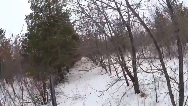 Охота на зайцев - Охота пуще неволи смотреть онлайн